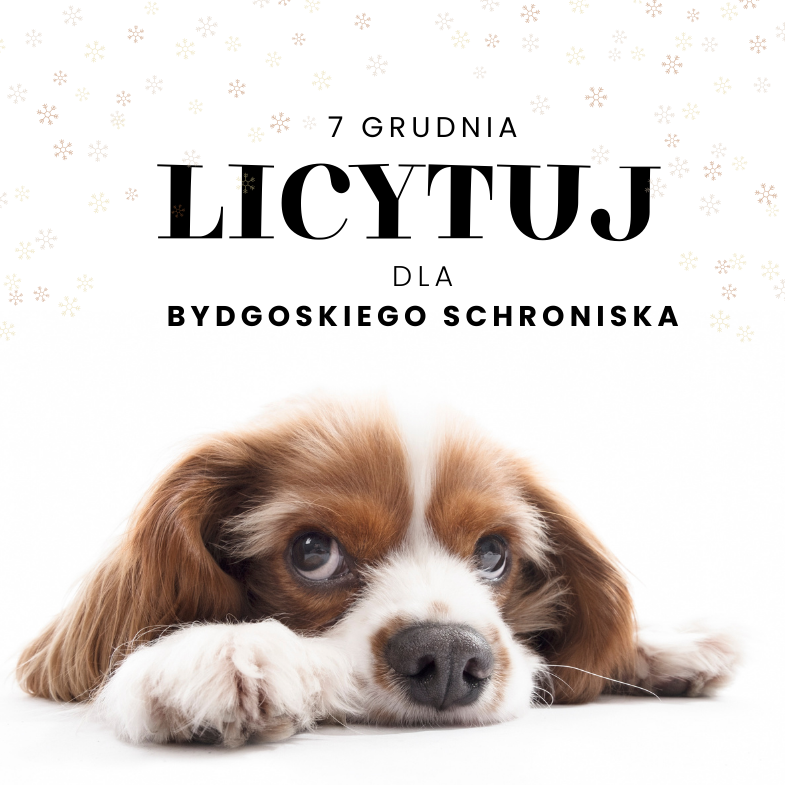 Aukcja charytatywna dla schroniska - wspieramy zwierzaki!